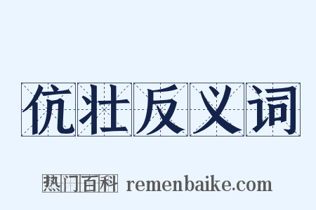 伉壮反义词是什么意思的图片